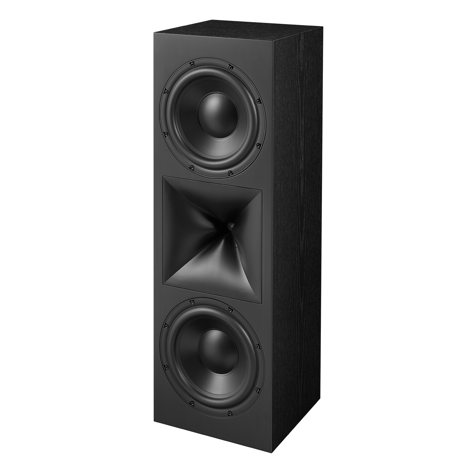 SCL-10XL - Black - 2 -way Dual 10 -inch Built-In Loudspeaker - Detailshot 2